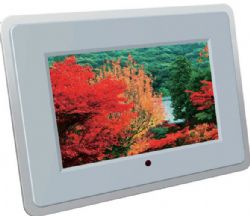 Alpha Digital 10.2 Inch Digital Photo Frame